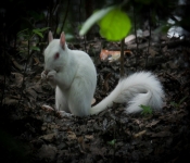2016 06 11 WildLife MPLS 082